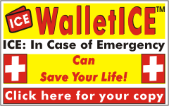 walletice can save web top left 250 x 140 300 dpi